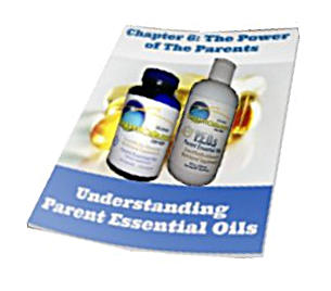 Chapter 6 Power of the Parents - Undestanding Parent Essential Oils